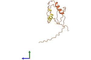 AlphaFold protein structure predicition of Human Recombinant SMCR5 Protein, UniprotID Q8TEV8 (SMCR5 Protein (AA 1-140) (His tag))