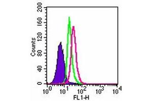 Intracellular flow analysis of TLR3 in Ramos cells. (TLR3 antibody  (AA 55-85))