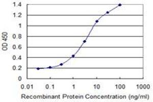 Detection limit for recombinant GST tagged CLEC10A is 0. (CLEC10A antibody  (AA 70-169))