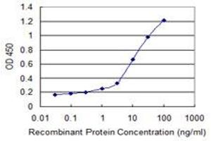 Detection limit for recombinant GST tagged ADIPOR1 is 0. (Adiponectin Receptor 1 antibody  (AA 72-136))