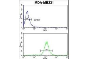 Flow Cytometry (FACS) image for anti-Thyroid Stimulating Hormone, beta (TSHB) (AA 58-86) antibody (ABIN652558)