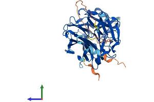 AlphaFold protein structure predicition of Mouse Recombinant Neu3 Protein, UniprotID Q9JMH7 (Neu3 Protein (AA 1-418) (His tag))