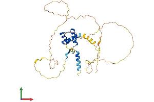 AlphaFold protein structure predicition of Mouse Recombinant Alx1 Protein, UniprotID Q8C8B0