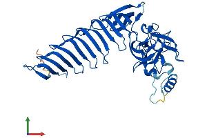 AlphaFold protein structure predicition of Human Recombinant SETD7 Protein, UniprotID Q8WTS6 (SETD7 Protein (AA 1-366) (His tag))
