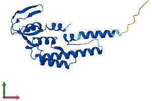 AlphaFold protein structure predicition of Human Recombinant GINS2 Protein, UniprotID Q9Y248