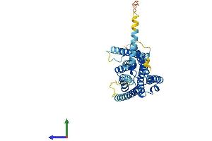 Protein Structure (PS) image for G Protein-Coupled Receptor 21 (GPR21) (AA 1-349) protein (His tag) (ABIN7558990)