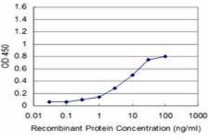 Detection limit for recombinant GST tagged RAX is approximately 1ng/ml as a capture antibody. (RAX antibody  (AA 104-206))