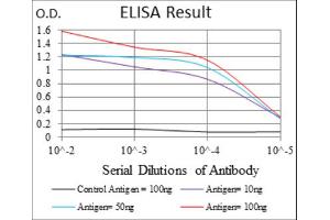 Red: Control Antigen (100ng) ; Purple: Antigen (10ng) ; Green: Antigen (50ng) ; Blue: Antigen (100ng). (Survivin antibody)