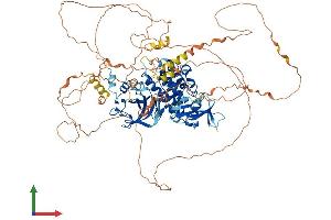 AlphaFold protein structure predicition of Mouse Recombinant Map3k14 Protein, UniprotID Q9WUL6