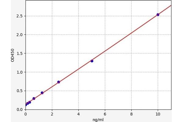 LY6G6F ELISA Kit