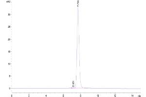 Size-exclusion chromatography-High Pressure Liquid Chromatography (SEC-HPLC) image for Basal Cell Adhesion Molecule (Lutheran Blood Group) (BCAM) (AA 26-541) protein (His tag) (ABIN7273935)