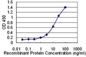ELISA image for anti-Solute Carrier Family 36 (Proton/amino Acid Symporter), Member 2 (SLC36A2) (AA 1-71) antibody (ABIN531053)