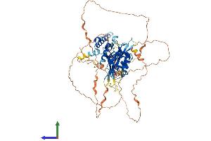 AlphaFold protein structure predicition of Mouse Recombinant Sim2 Protein, UniprotID Q61079 (SIM2 Protein (AA 1-657) (His tag))