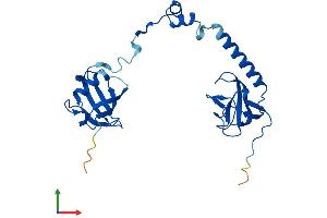 Protein Structure (PS) image for Tubulin Folding Cofactor B (TBCB) (AA 1-244) protein (His tag) (ABIN7544238)