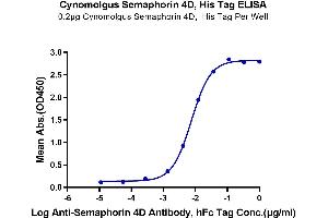 Immobilized Cynomolgus Semaphorin 4D, His Tag at 2 μg/mL (100 μL/well) on the plate. (SEMA4D/CD100 Protein (AA 24-734) (His tag))