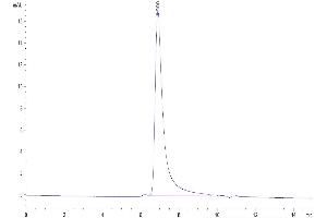 The purity of Biotinylated Human OX40 is greater than 95 % as determined by SEC HPLC. (TNFRSF4 Protein (His-Avi Tag,Biotin))