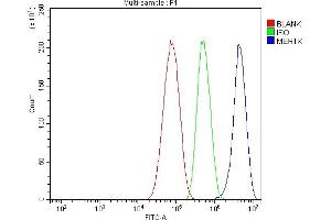 Flow Cytometry analysis of HepG2 cells using anti-MERTK antibody (ABIN7600623).