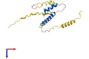 ID1 Protein (AA 1-155) (His tag)
