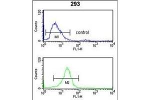 CD49f Antibody (C-term) (ABIN653202 and ABIN2842747) flow cytometry analysis of 293 cells (bottom histogram) compared to a negative control cell (top histogram). (ITGA6 antibody  (C-Term))