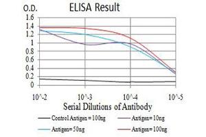 Black line: Control Antigen (100 ng),Purple line: Antigen (10 ng), Blue line: Antigen (50 ng), Red line:Antigen (100 ng) (BCL2L10 antibody  (AA 31-186))