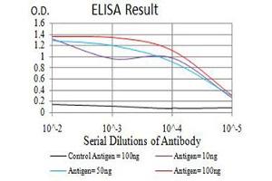 Black line: Control Antigen (100 ng),Purple line: Antigen (10 ng), Blue line: Antigen (50 ng), Red line:Antigen (100 ng) (BCL2L10 antibody  (AA 31-186))