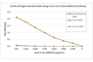 ELISA of single stranded DNA using recombinant 5mC antibody. (Recombinant 5-Methylcytosine antibody)