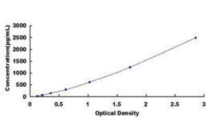 Major Histocompatibility Complex, Class II, DR beta 1 (HLA-DRB1) ELISA Kit