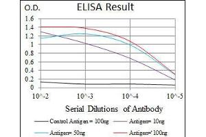 Black line: Control Antigen (100 ng), Purple line: Antigen(10 ng), Blue line: Antigen (50 ng), Red line: Antigen (100 ng), (IGF2 antibody  (AA 25-180))