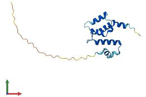 AlphaFold protein structure predicition of Human Recombinant SNTN Protein, UniprotID A6NMZ2 (Sntn Protein (AA 1-147) (His tag))