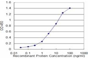 Detection limit for recombinant GST tagged NBR1 is approximately 0. (NBR1 antibody  (AA 2-96))
