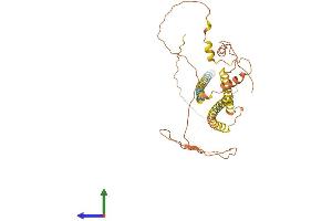 AlphaFold protein structure predicition of Human Recombinant NPIPA8 Protein, UniprotID P0DM63 (NPIPA8 Protein (AA 1-369) (His tag))