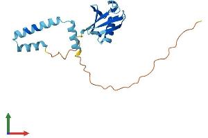 Protein Structure (PS) image for Ubiquitin-Like 4B (UBL4B) (AA 1-174) protein (His tag) (ABIN7545015)