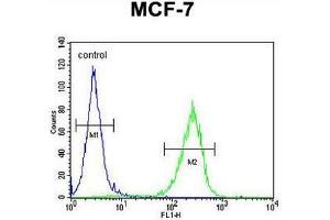CO027 Antibody (C-term) flow cytometric analysis of MCF-7 cells (right histogram) compared to a negative control cell (left histogram). (C15orf27 antibody  (C-Term))
