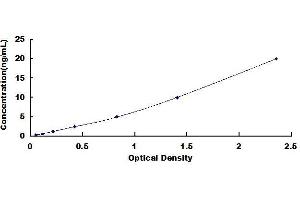 Typical standard curve (ADCY5 ELISA Kit)