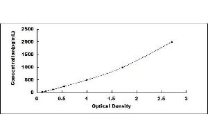 Typical standard curve (Periostin ELISA Kit)