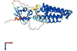 Trans-2,3-Enoyl-CoA Reductase-Like (TECRL) (AA 1-361) protein (His tag)