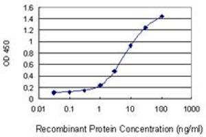 Detection limit for recombinant GST tagged AKR1CL2 is 0. (AKR1E2 antibody  (AA 1-307))