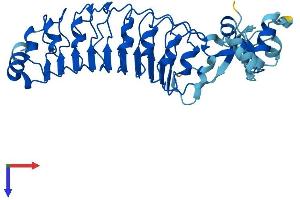 AlphaFold protein structure predicition of Mouse Recombinant Lrrc69 Protein, UniprotID Q9D9Q0