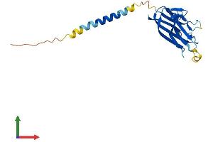 Protein Structure (PS) image for CD70 Molecule (CD70) (AA 1-193) protein (His tag) (ABIN7553265)