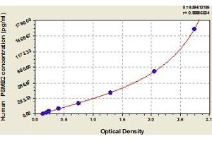 PSMB2 ELISA Kit