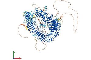 AlphaFold protein structure predicition of Mouse Recombinant Phlpp2 Protein, UniprotID Q8BXA7