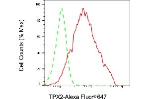 Flow cytometric analysis of TPX2 expression in HAP-1 cells using TPX2 antibody (ABIN7800579), 1:2,000). (Recombinant TPX2 antibody)