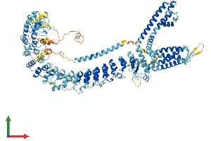AlphaFold protein structure predicition of Human Recombinant TRPA1 Protein, UniprotID O75762