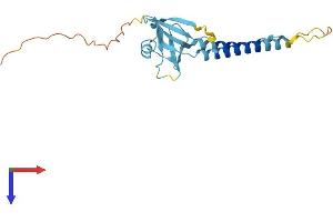 AlphaFold protein structure predicition of Human Recombinant TMEM223 Protein, UniprotID A0PJW6 (TMEM223 Protein (AA 1-202) (His tag))