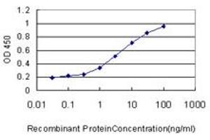Detection limit for recombinant GST tagged MCF2L is approximately 0. (MCF2L antibody  (AA 220-319))