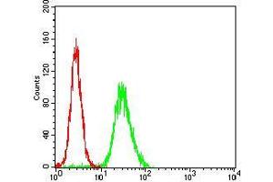 Flow cytometric analysis of Hela cells using WAS mouse mAb (green) and negative control (red). (WASP antibody  (AA 57-170))