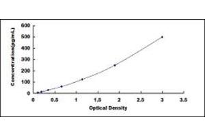 Typical standard curve (IL-13 ELISA Kit)