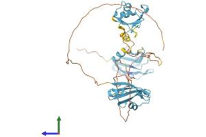 AlphaFold protein structure predicition of Human Recombinant HNRNPF Protein, UniprotID P52597