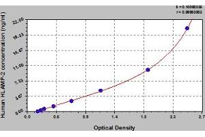 Typical Standard Curve (LAMP2 ELISA Kit)