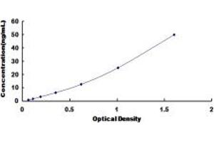 Elastase 4 ELISA Kit